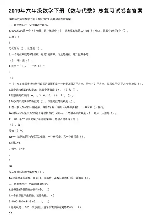 2019年六年级数学下册《数与代数》总复习试卷含答案