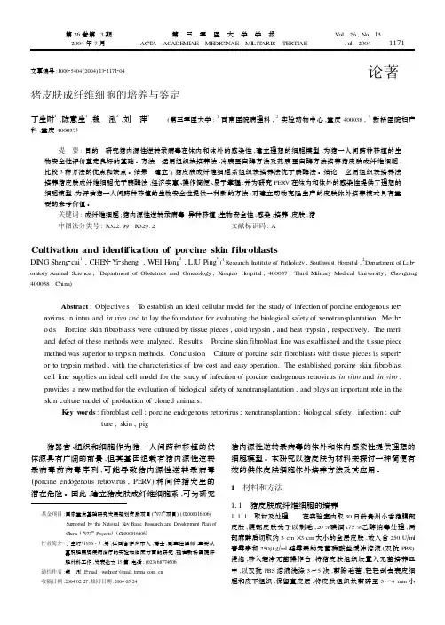 猪皮肤成纤维细胞的培养与鉴定