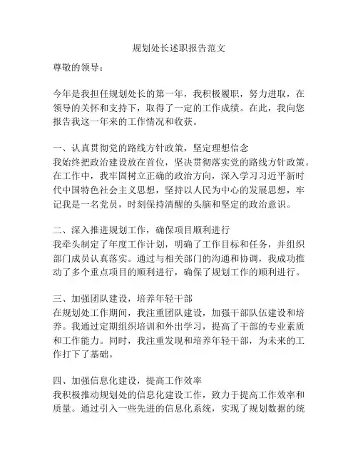规划处长述职报告范文