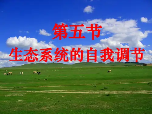 生态系统的自我调节-ppt课件