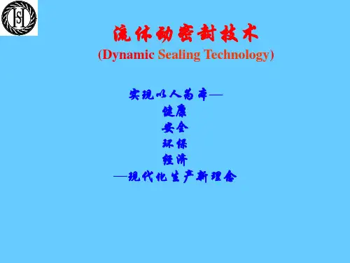 流体动密封