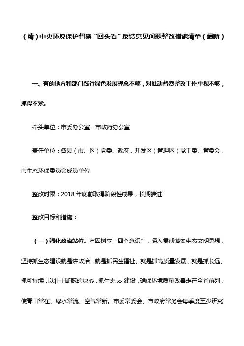 (精)中央环境保护督察“回头看”反馈意见问题整改措施清单(最新)