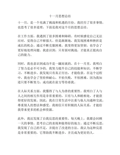 十一月思想总结