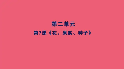 三年级下册科学课件《花、果实、种子》人教版