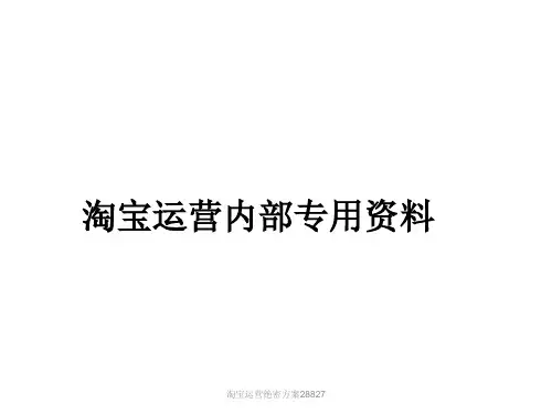 淘宝运营绝密方案28827 ppt课件