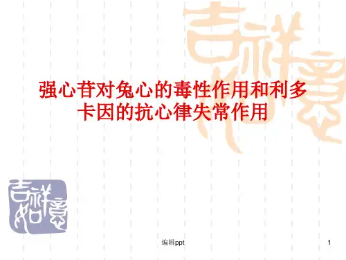 强心苷对兔心的毒性作用和利多卡因的抗心律失常作用