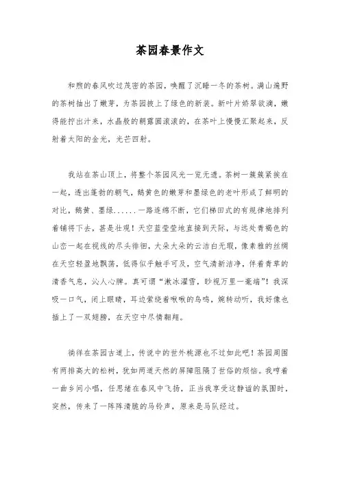 茶园春景作文