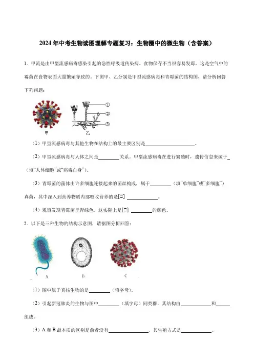 2024年中考生物读图理解专题复习：生物圈中的微生物(含答案)