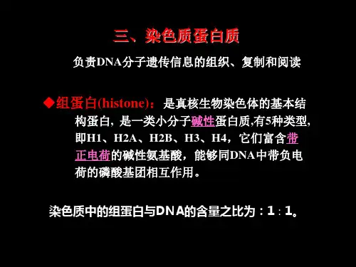 细胞生物学第10章2细胞核与染色体