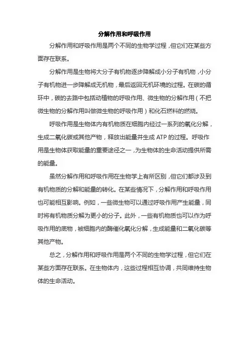 分解作用和呼吸作用