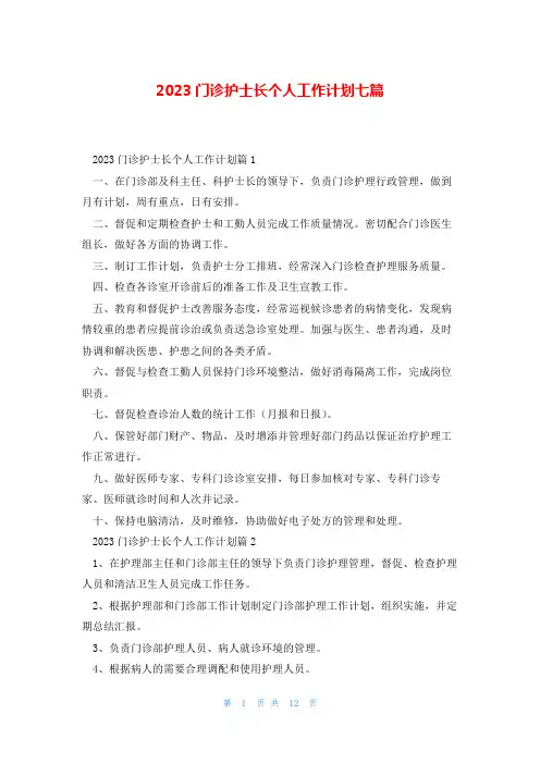 2023门诊护士长个人工作计划七篇