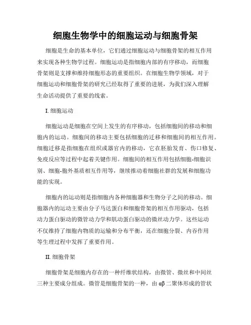 细胞生物学中的细胞运动与细胞骨架
