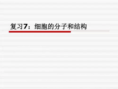 细胞的分子和结构