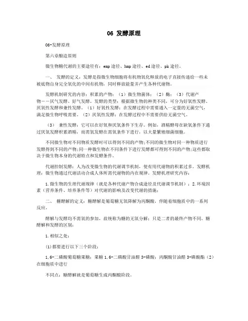 06 发酵原理