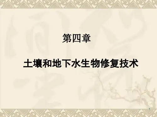 土壤和地下水生物修复ppt