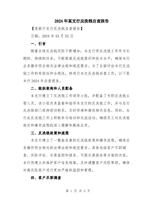 2024年某支行反洗钱自查报告