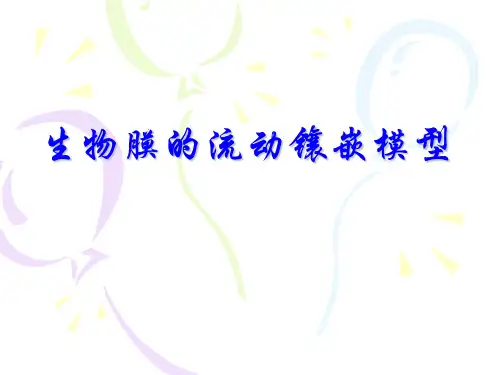 高中生物4.2 流动镶嵌模型优秀课件