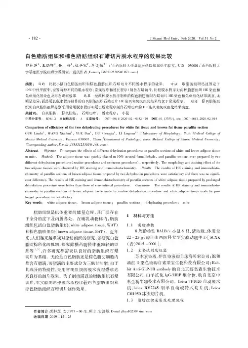 白色脂肪组织和棕色脂肪组织石蜡切片脱水程序的效果比较
