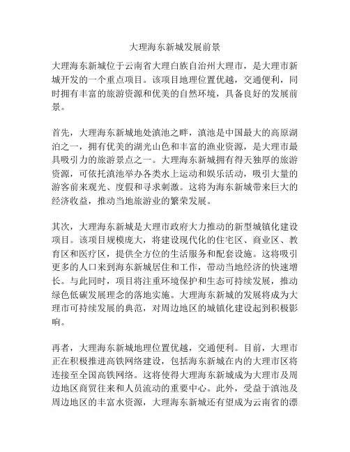 大理海东新城发展前景