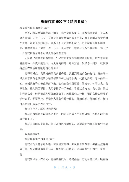 梅花作文600字(精选5篇)