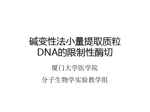 实验3质粒的提取和鉴定090226ppt课件