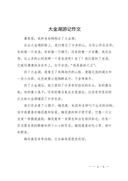 大金湖游记作文