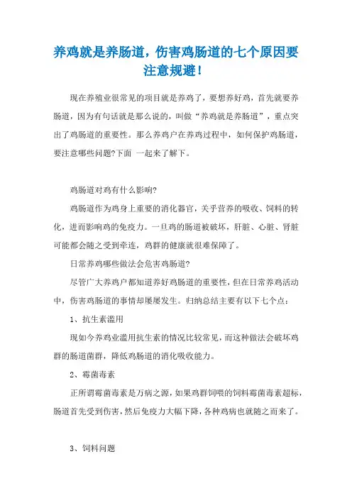 养鸡就是养肠道,伤害鸡肠道的七个原因要注意规避!