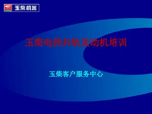博世共轨系统培训材料资料