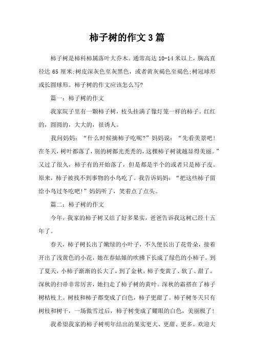 柿子树的作文3篇