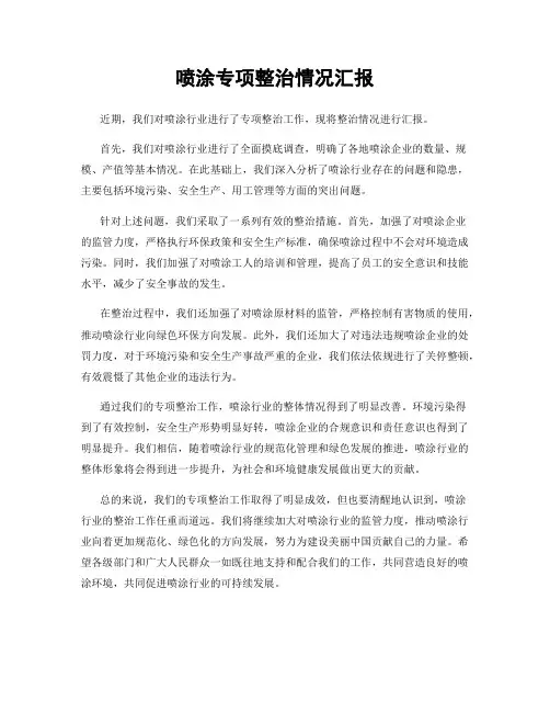 喷涂专项整治情况汇报