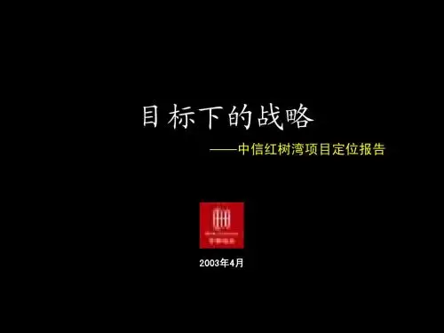 世联-中信红树湾定位报告