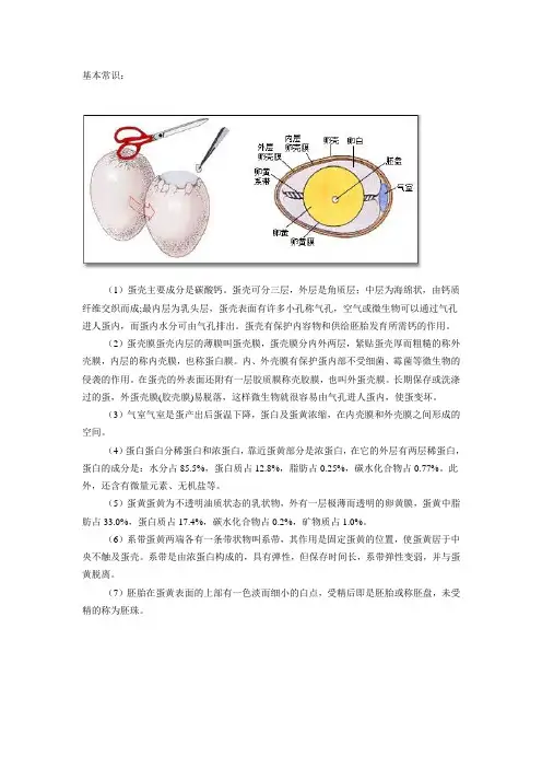 鸡蛋新鲜度检测方法