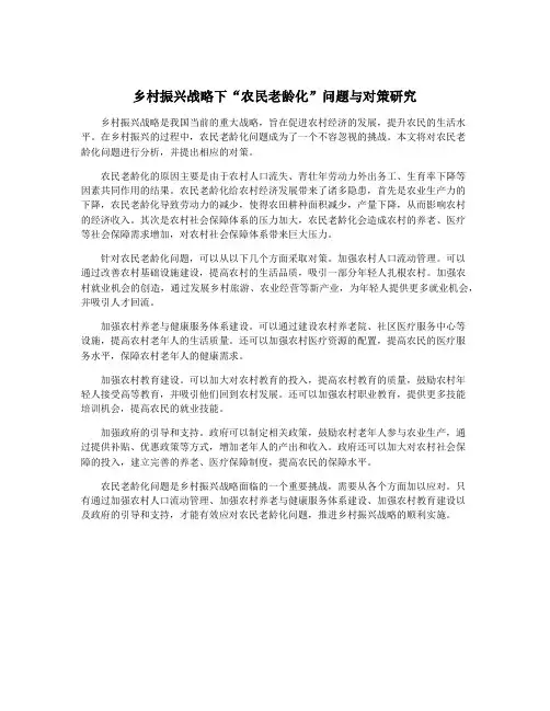 乡村振兴战略下“农民老龄化”问题与对策研究