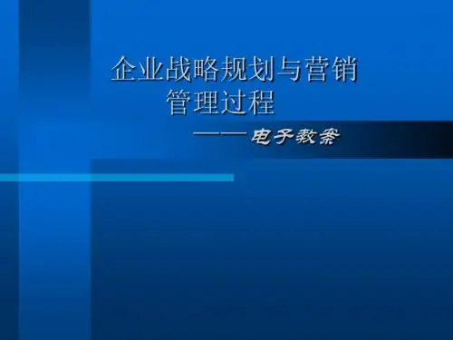 企业战略规划与营销管理过程-精品文档