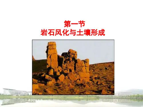第一节岩石风化与土壤形成