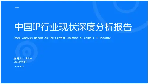 2023年中国IP行业现状深度分析与投资前景预测报告报告模板