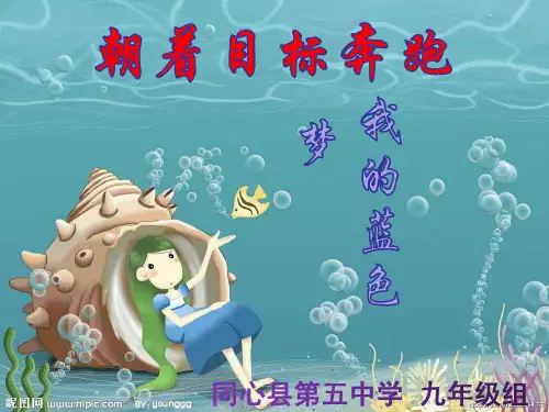 朝着目标奔跑 (九年级使用)