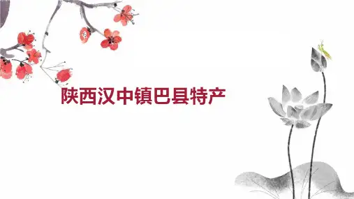 陕西汉中镇巴县特产