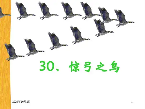 惊弓之鸟PPT课件