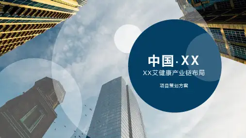 中医理疗康养产业