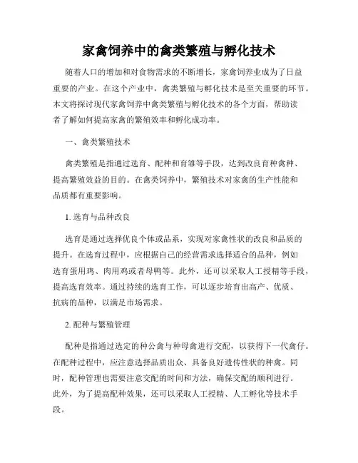 家禽饲养中的禽类繁殖与孵化技术