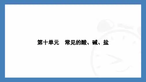 第十单元常见的酸、碱、盐小专题(八)科学探究---2024-2025学年九年级化学人教版2024下册