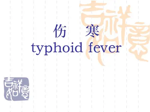 伤寒和副伤寒课件ppt课件