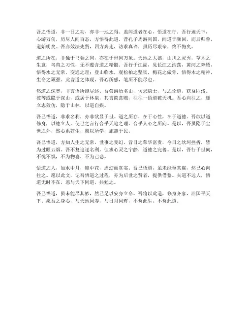 吾已悟道文言文翻译