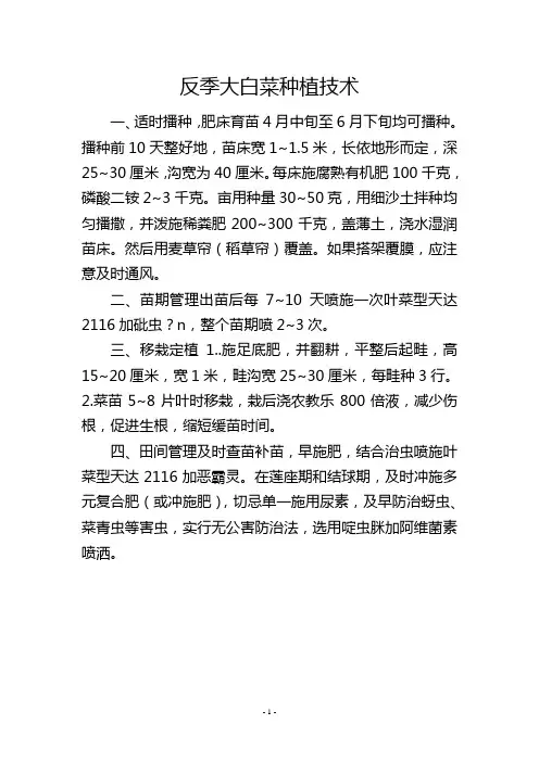 反季大白菜种植技术