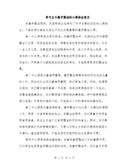 学习五个集中整治的心得体会范文（二篇）