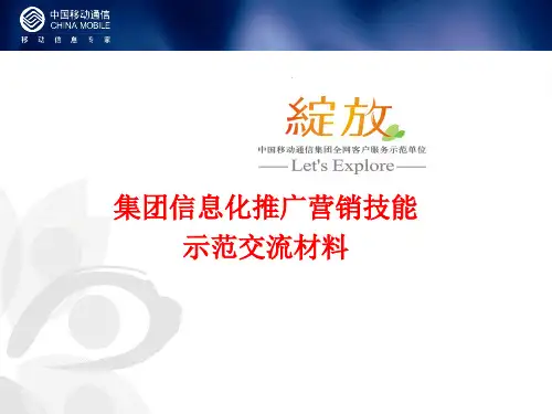 集团信息化推广营销技能辅导材料