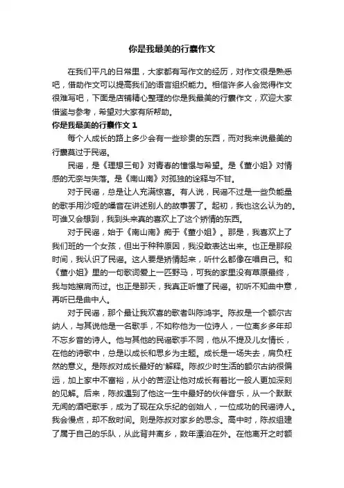 你是我最美的行囊作文