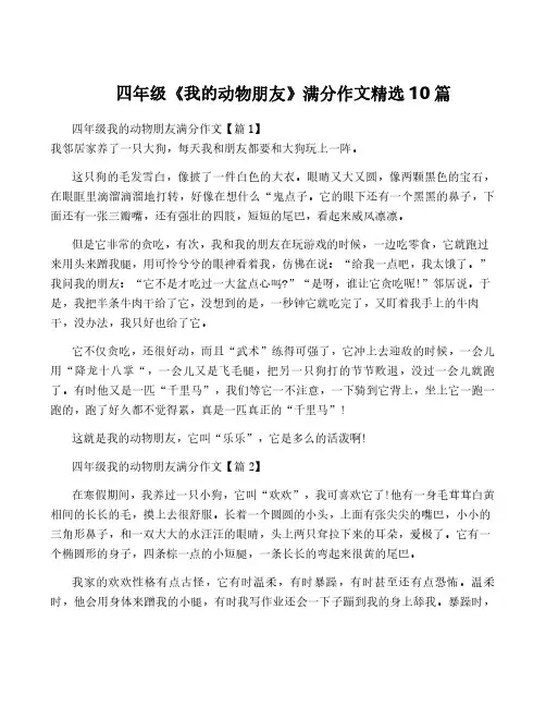 四年级《我的动物朋友》满分作文精选10篇