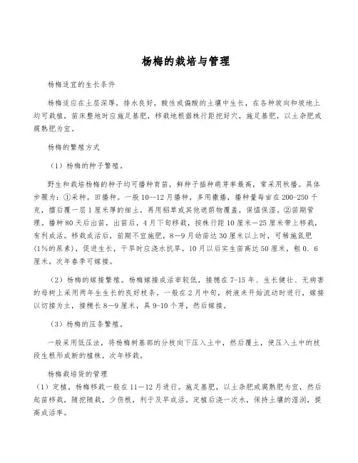 杨梅的栽培与管理